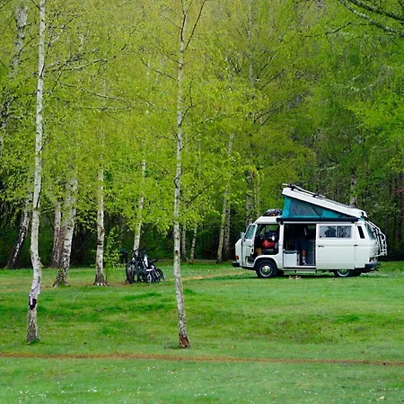 Hanmer Springs Forest Camp Trust-2